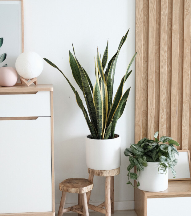 Khaderfurniture